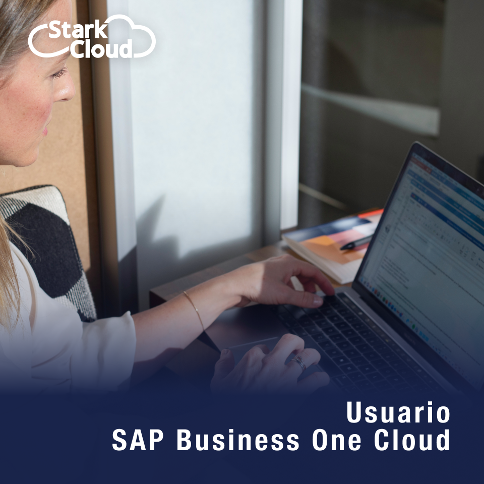 Acceso Usuario SAP Business One AutoSky Oracle