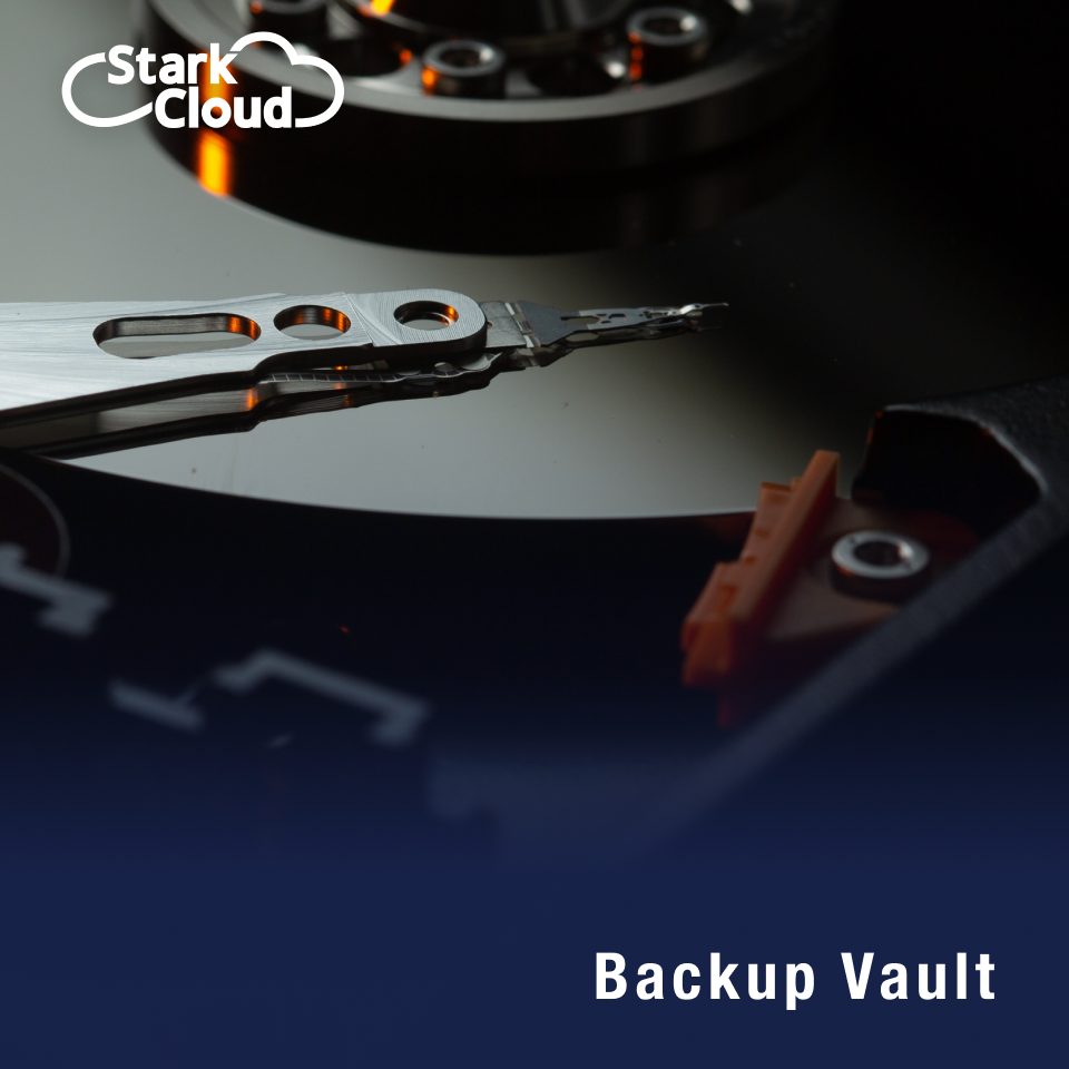 Backup Vault  x 1TB