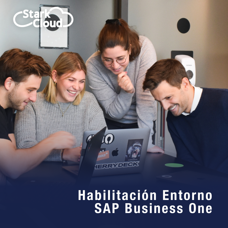 SAP Business One CCC Implementation (Pago único)