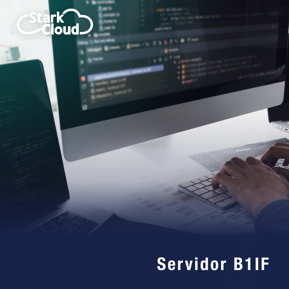 Integration Framework (B1if)