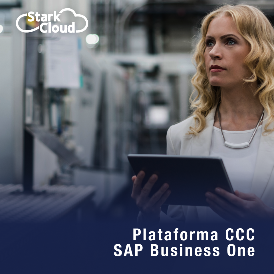 Plataforma AutoSky SAP Business One