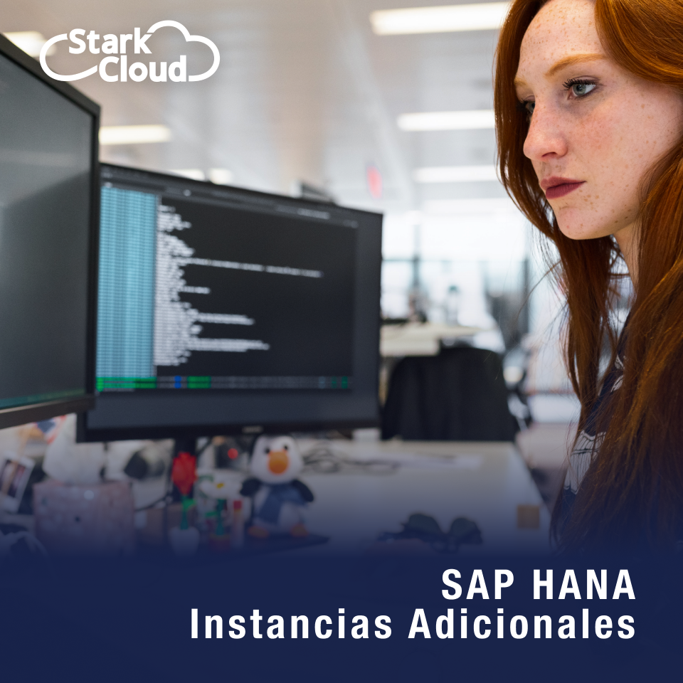 Instancias adicionales HANA